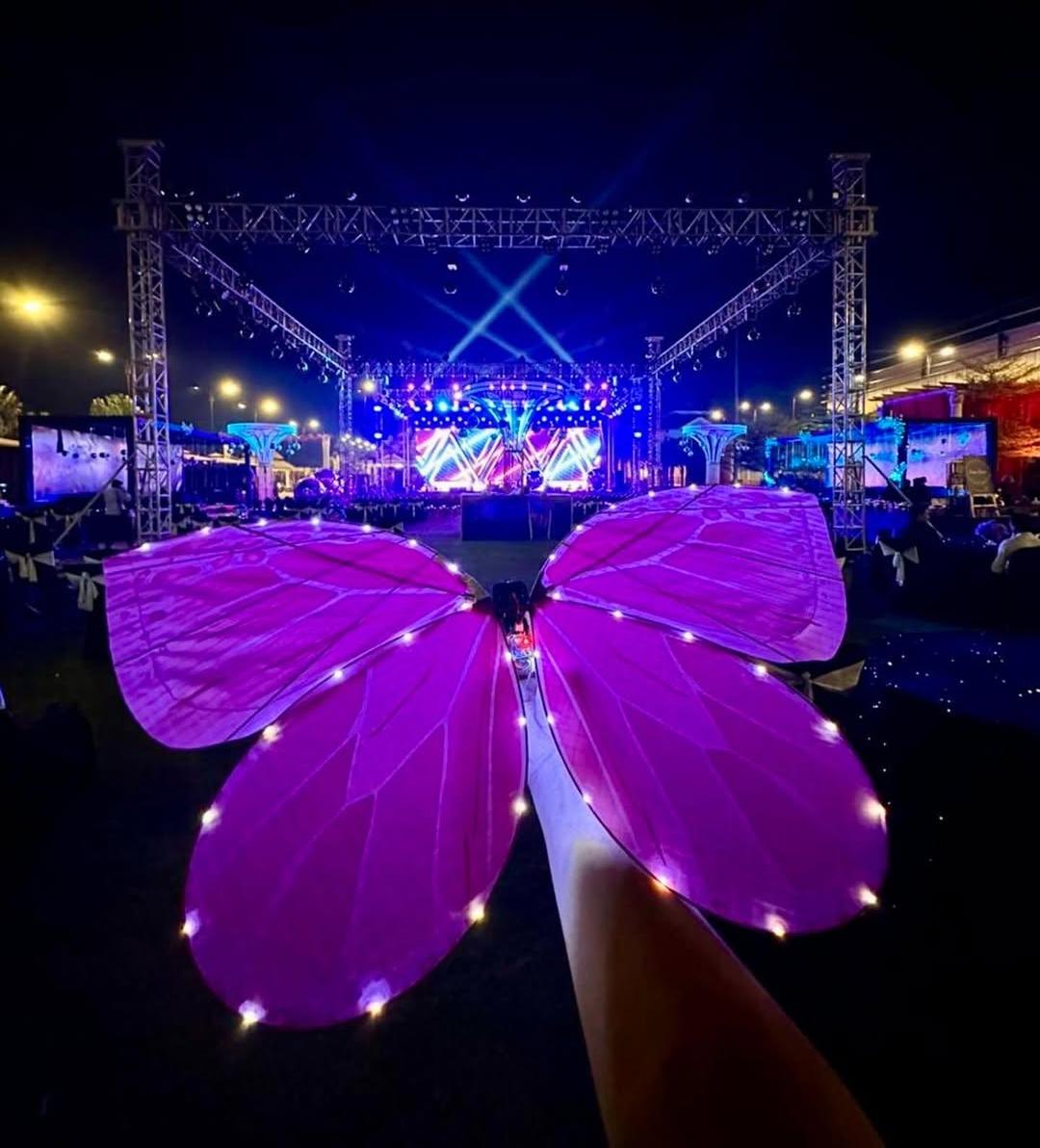 Glowing Zentroniq Bionic Butterfly performance lighting up an outdoor stage at night